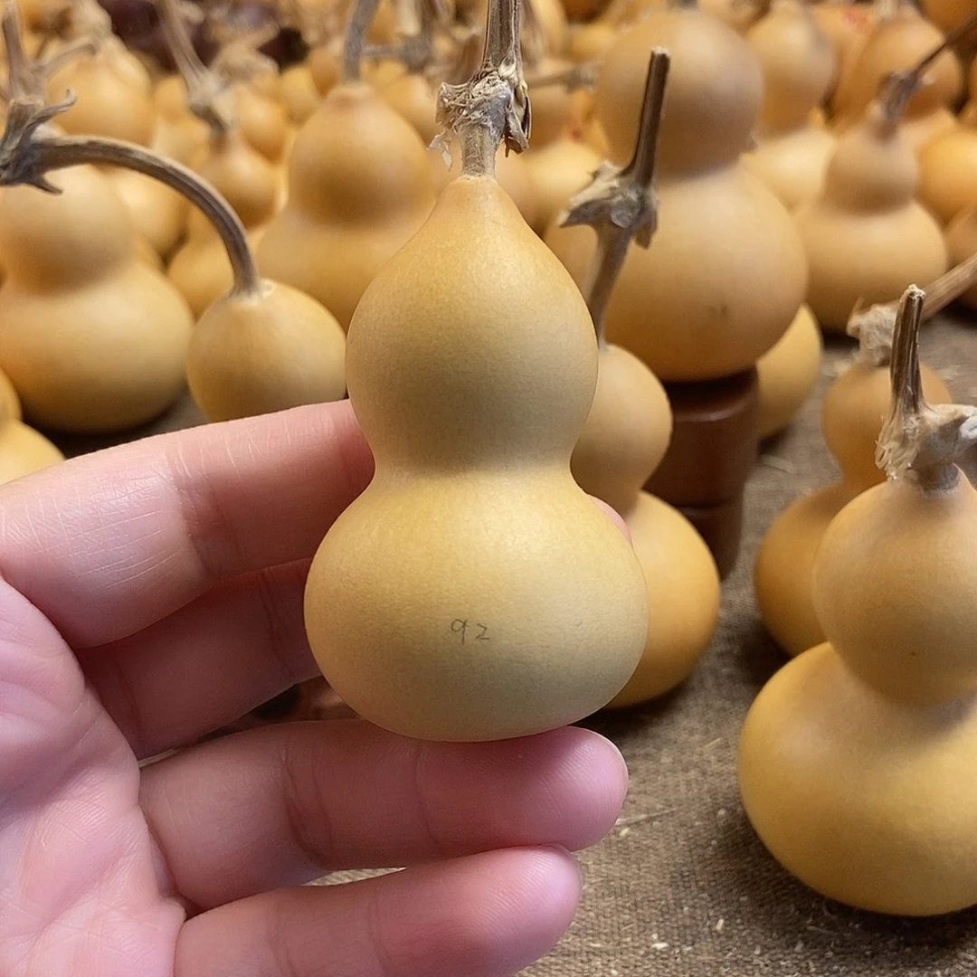文玩葫芦 完美主义者 慎拍92
