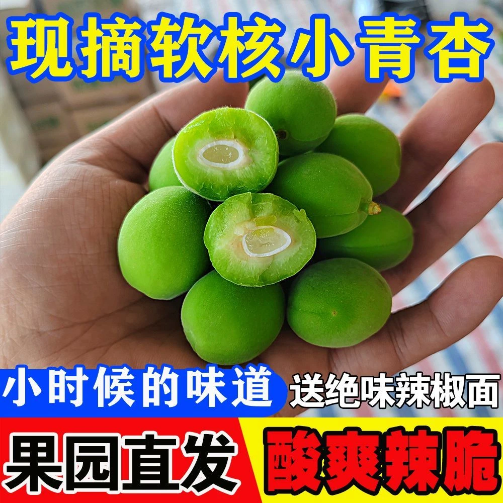 【软核小青杏】新鲜水果绿杏子青杏农家当季现摘现发梅杏酸脆爽口