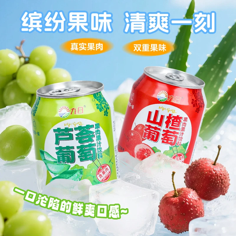 九日果肉果汁饮料甄选果粒葡萄芦荟清爽清凉解腻238ml*10罐装