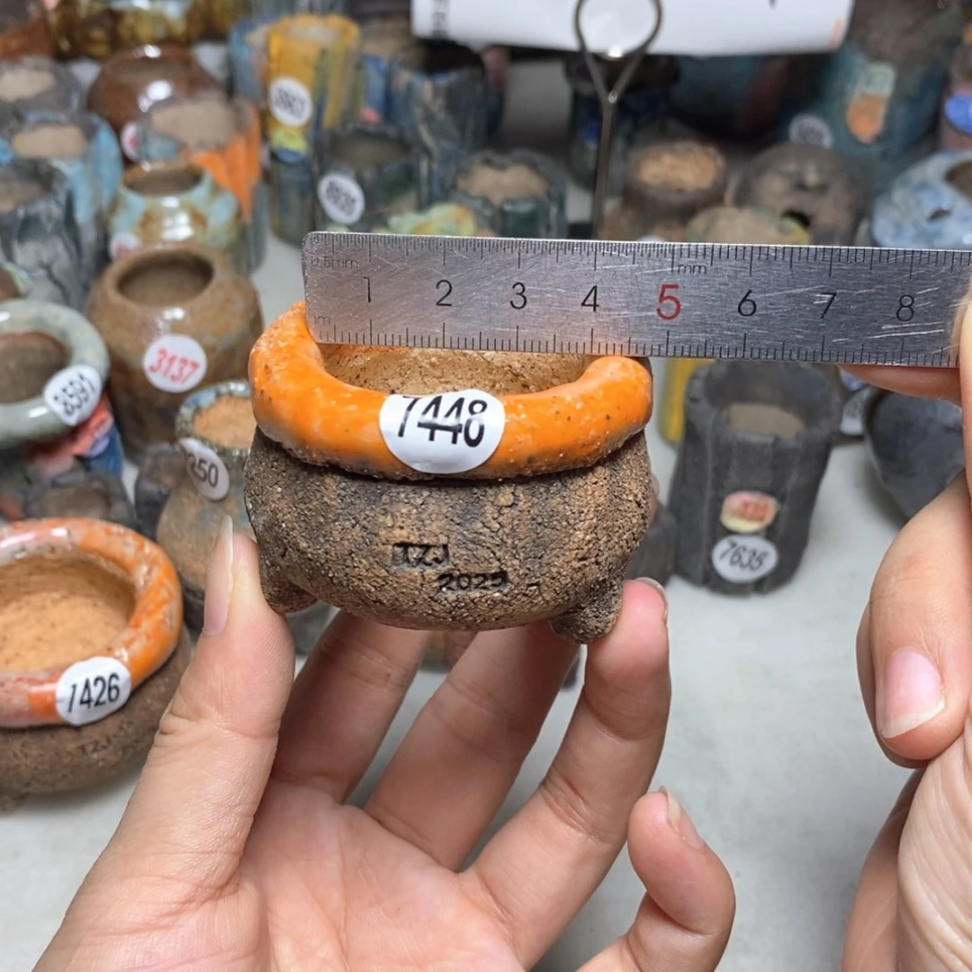 拍3送一个小礼物