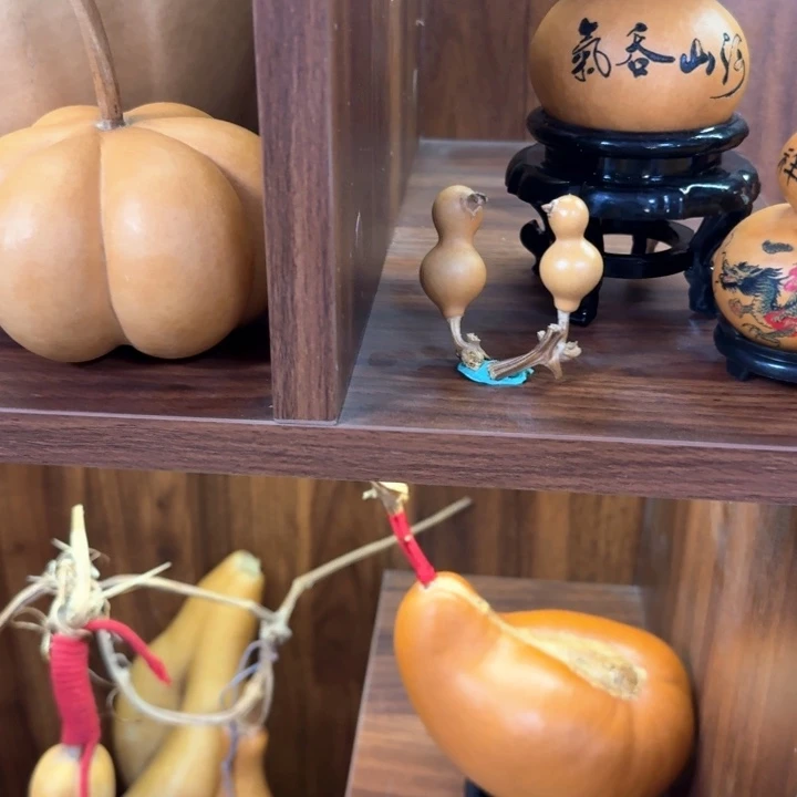 天****?葫芦葫芦葫芦葫芦