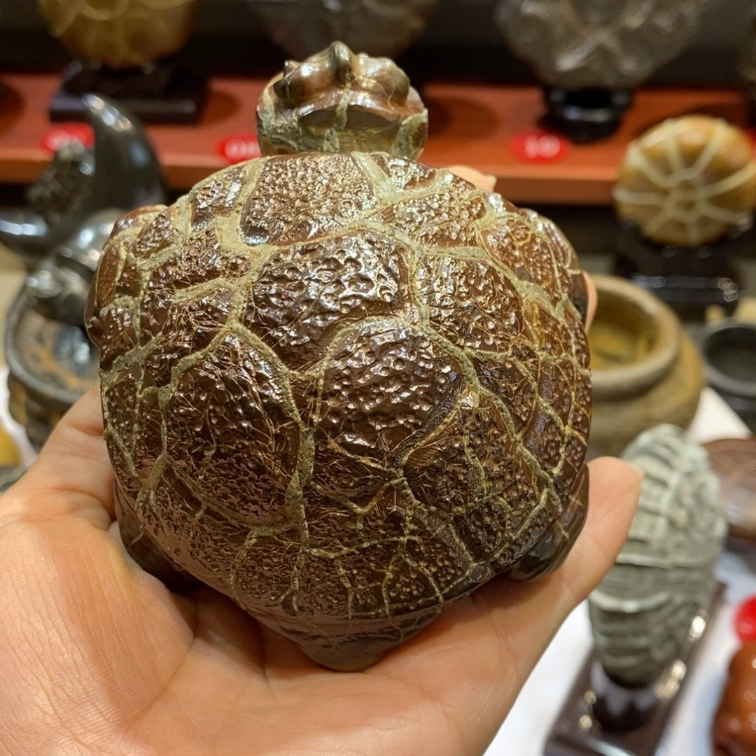 0***e龟纹石原产地直播