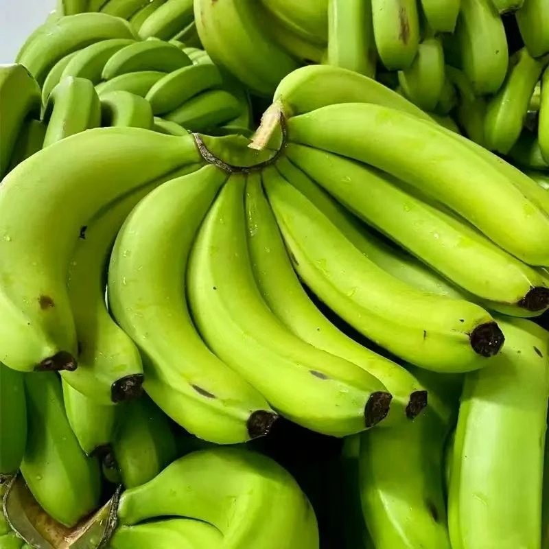 云南正宗老品种高山芝麻香蕉自然熟软糯香甜青皮发货自行催熟