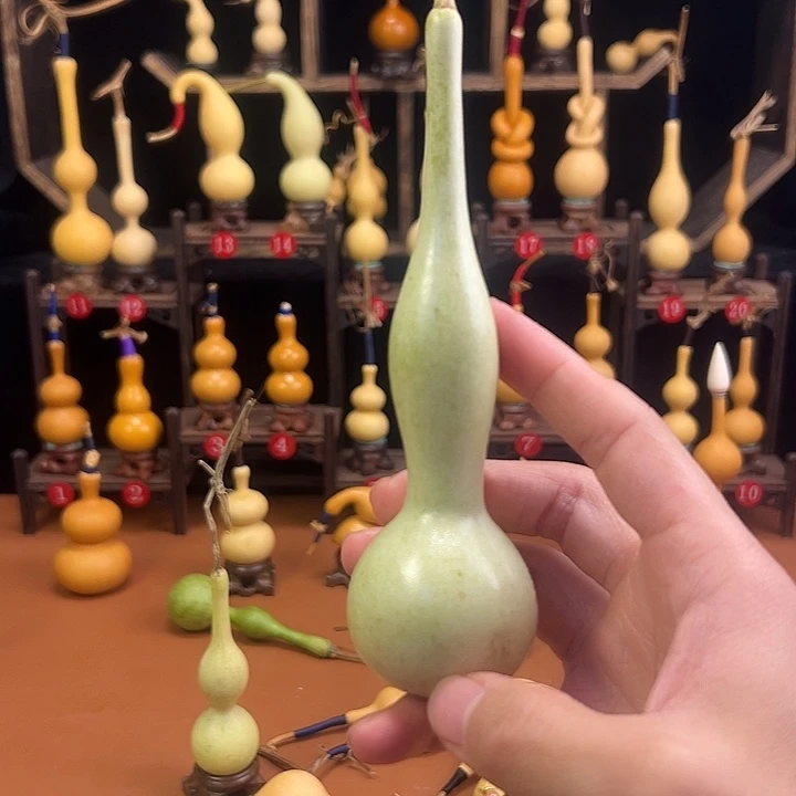 辉***哥葫芦笙等乐器的演奏