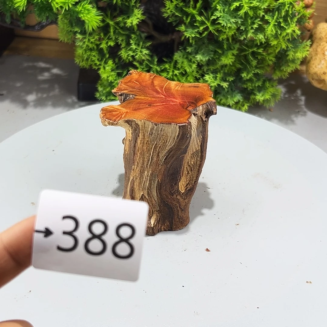 香榧木百****生火琉璃……