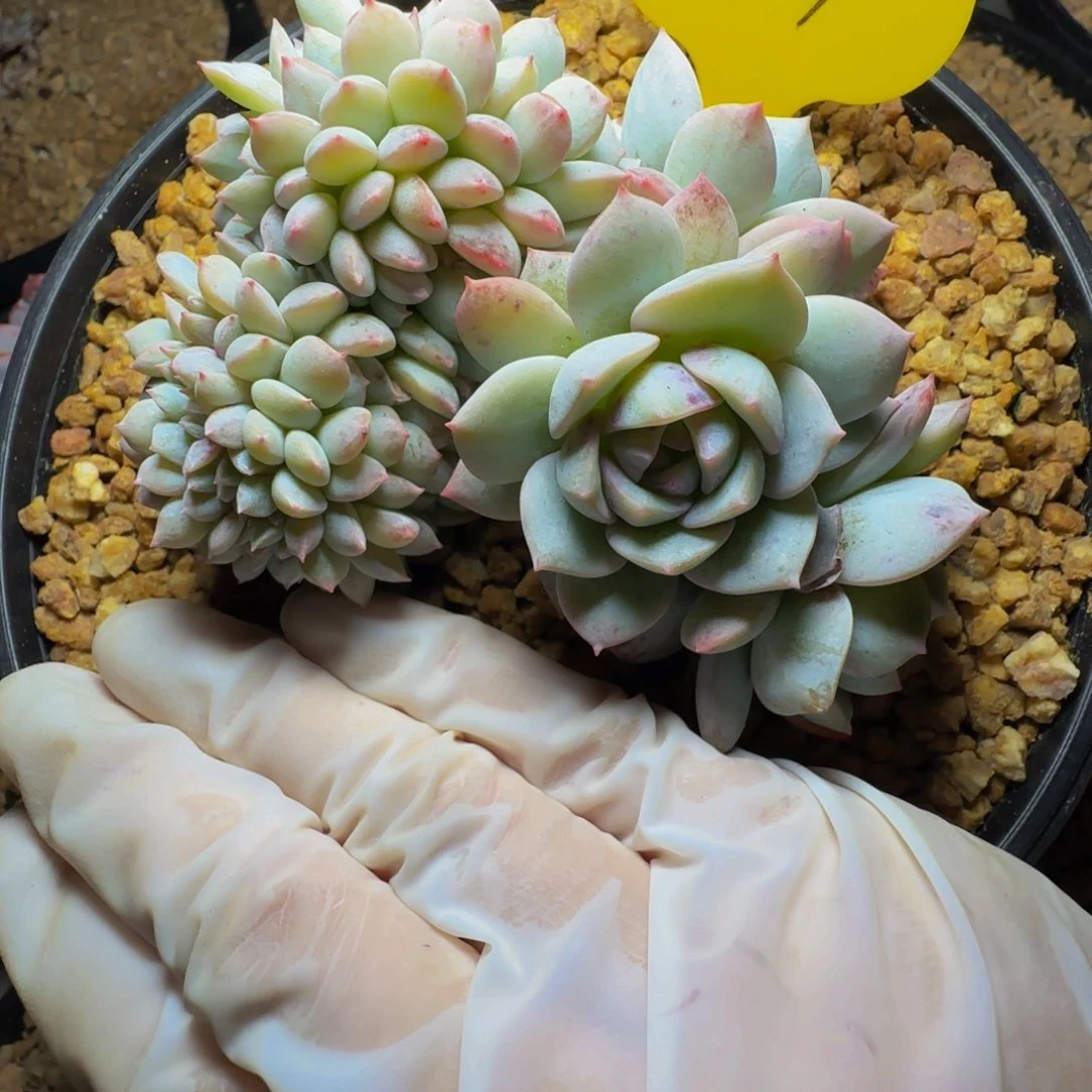 e e e e e e e e e e 27