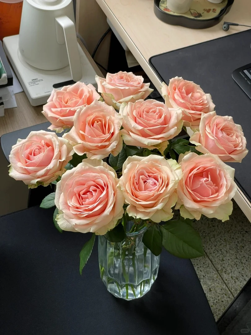 【胭脂】精选优胭脂森单头玫瑰云南鲜花优质鲜切花水培鲜花