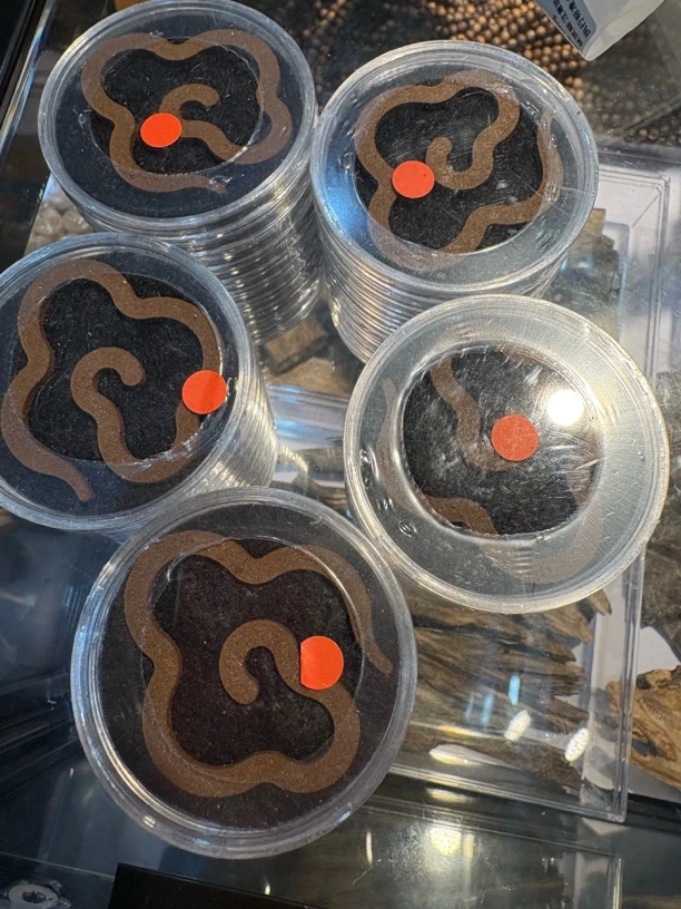 第二届海南国际沉香展-秒沉树心黑棋楠沉水无粘大祥云发50片