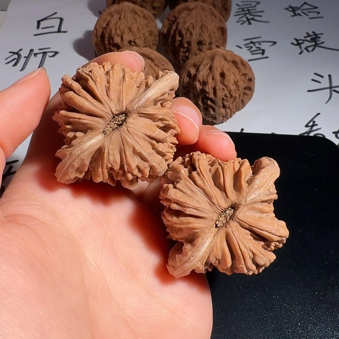 新***歌核桃老树红皮四座楼45全