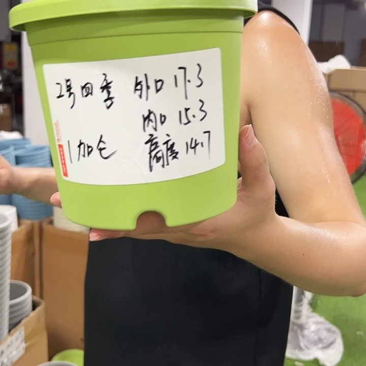 特价2号口17高14.7果绿10只无托
