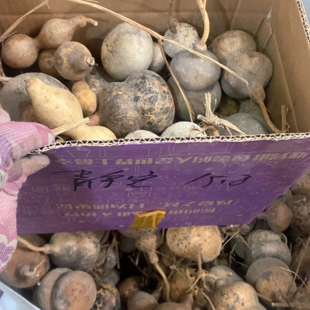 静*文玩葫芦花皮葫芦