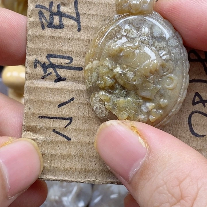 颈饰未镶嵌硅化珊瑚（珊瑚玉）四****