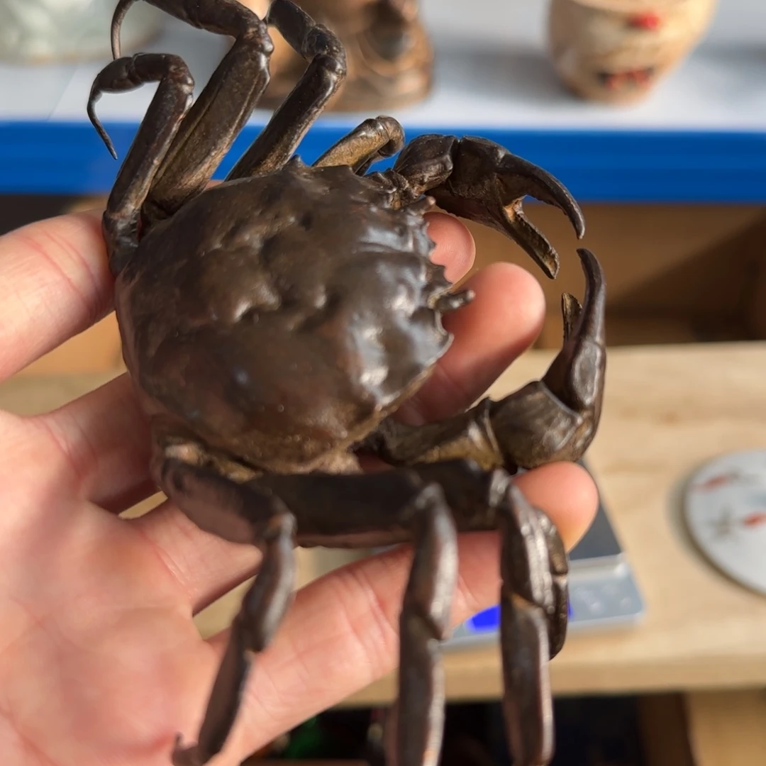 紫砂茶宠陈*陶瓷艺术设计专业