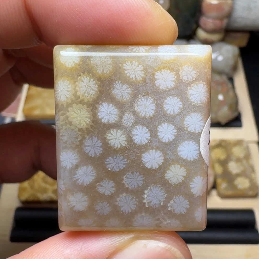 硅化玉未镶嵌纯天然色有机玉石保真色