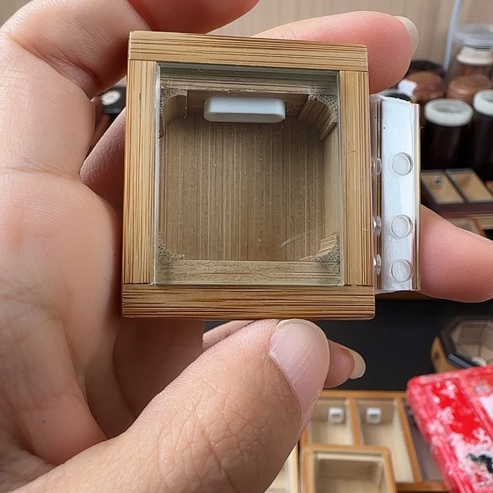 仅一天鸣虫盒送加湿器