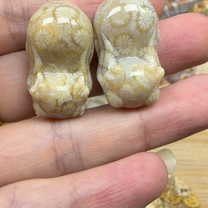 硅化玉未镶嵌颈饰一对