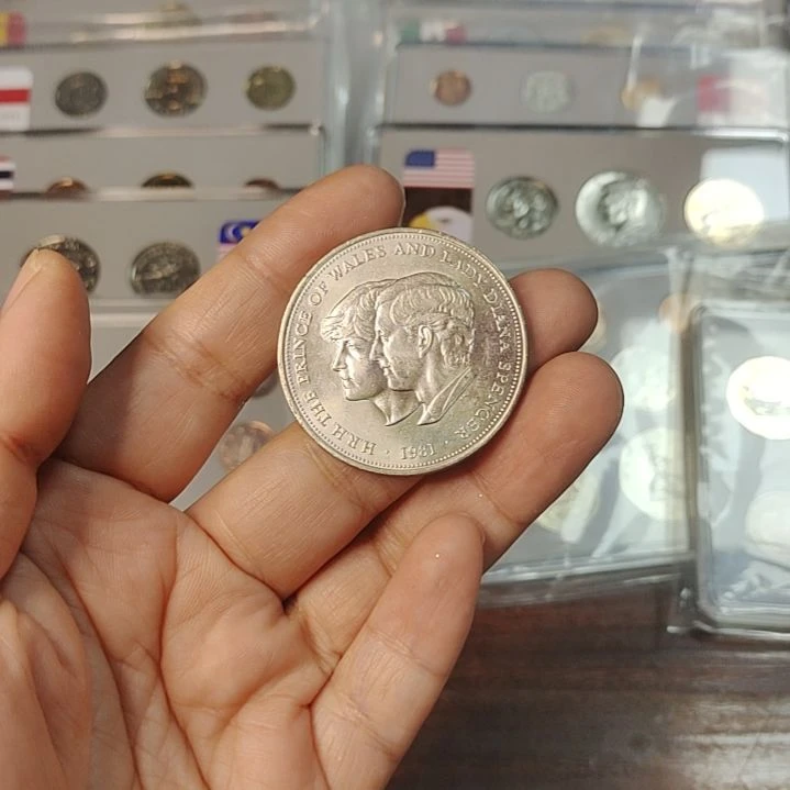 普通金属币查尔斯戴安娜