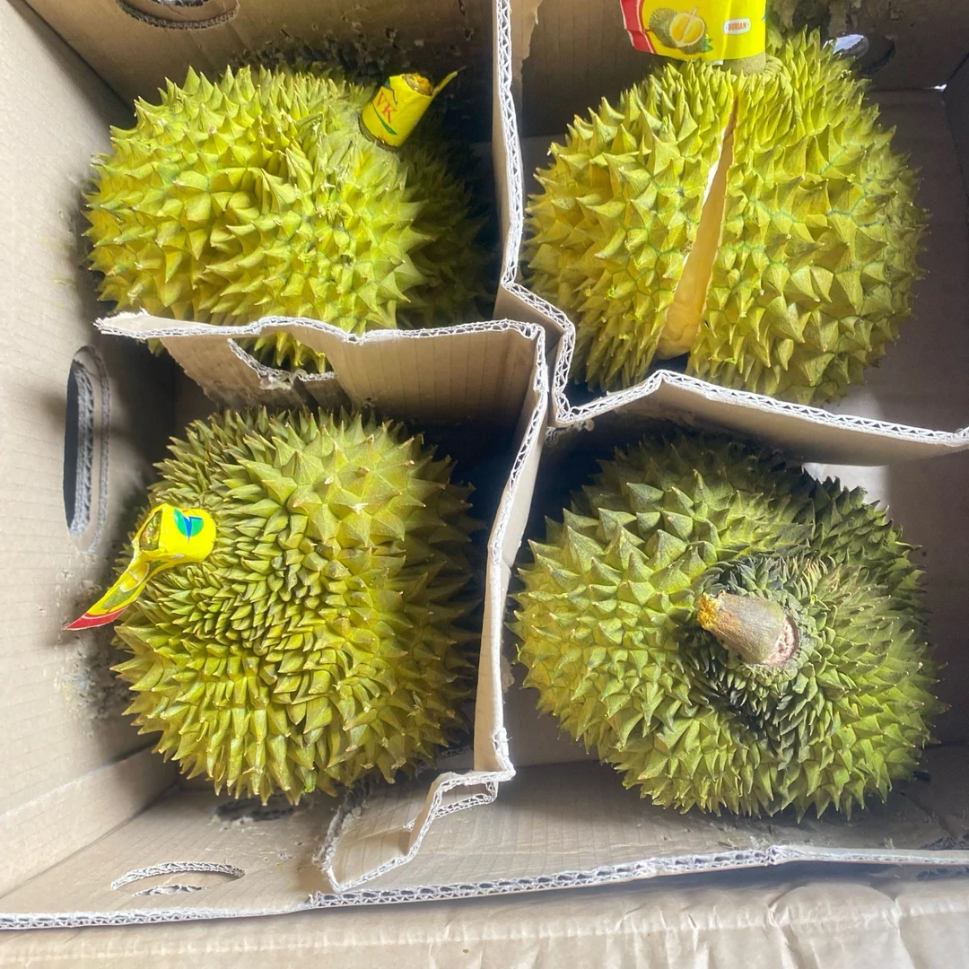 新鲜金枕榴莲软糯香甜/核小3-8斤现称现发【亳州市区下单一小时左右送达】金枕泰国东部
