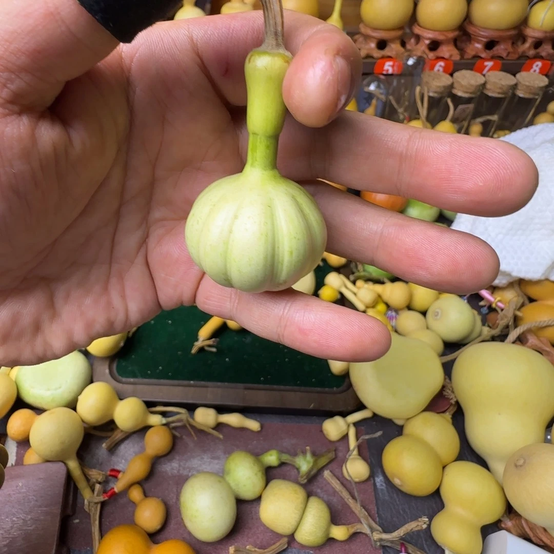 吃***陈花蹲葫芦一枚小葫芦