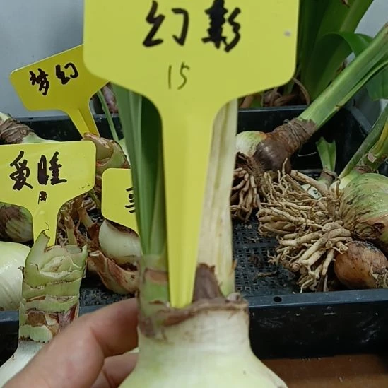 无花朵幻影5.8裸球发货