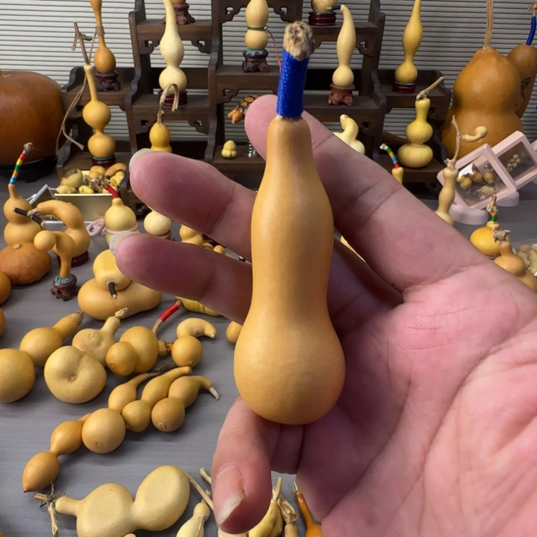 穿***叶有机玻璃铁皮本长响籽