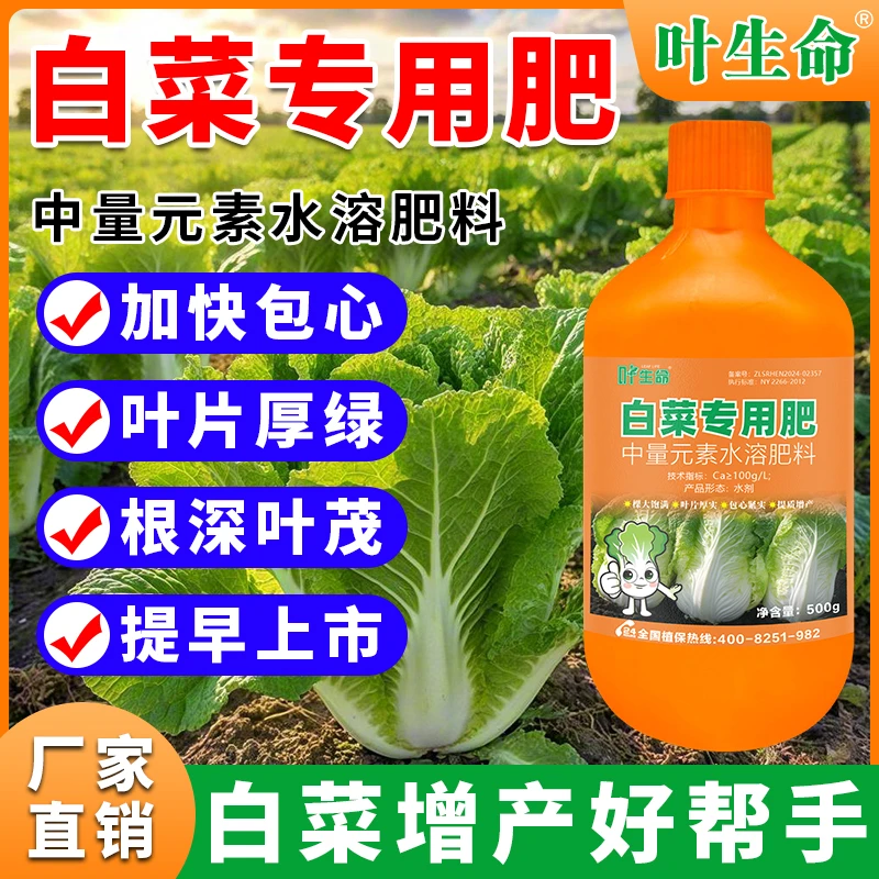 白菜专用肥白菜提苗爆长剂生根壮苗叶片速长白菜防腐包心剂