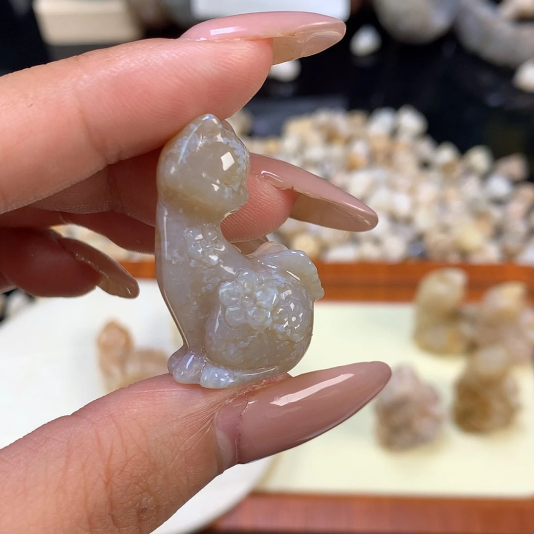 【闪购商品】颈饰未镶嵌硅化珊瑚（珊瑚玉）怡*