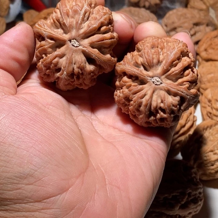 ღ**豆文玩核桃大粗筋核桃