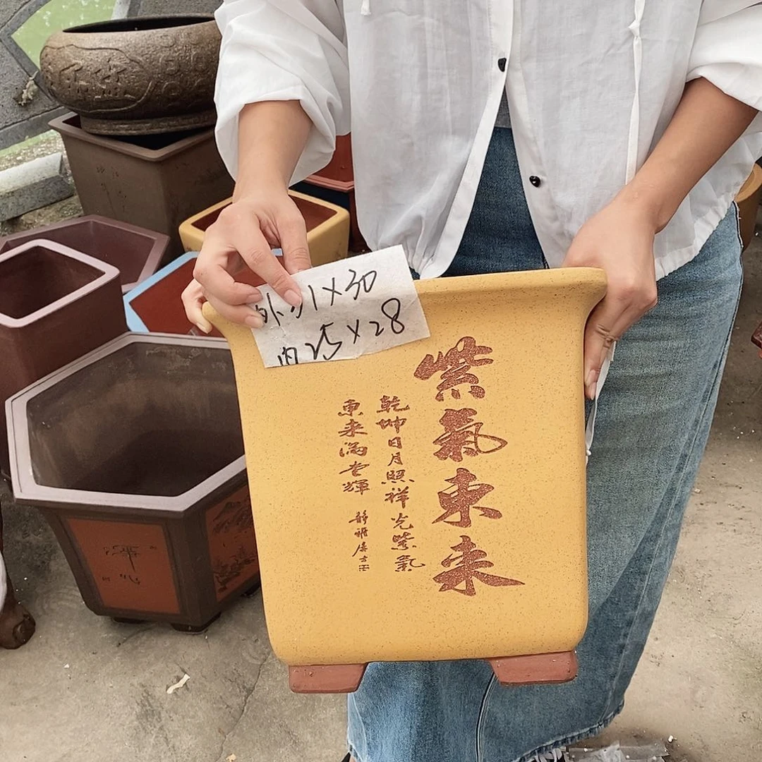 紫砂花盆紫砂花盆