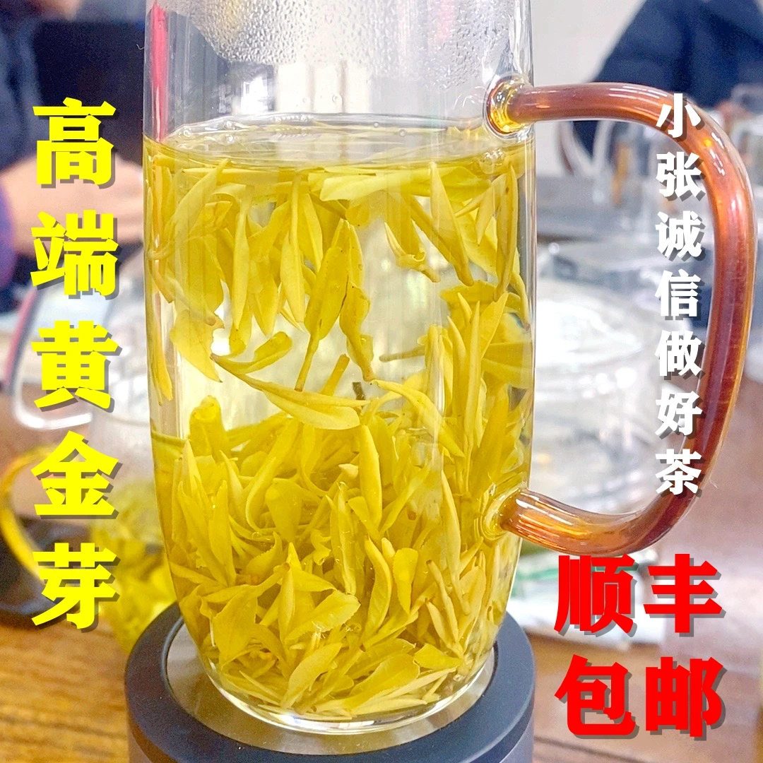 2024新茶（原产地浙江安吉）高山头采小嫩芽明前茶黄金芽 AJ-580