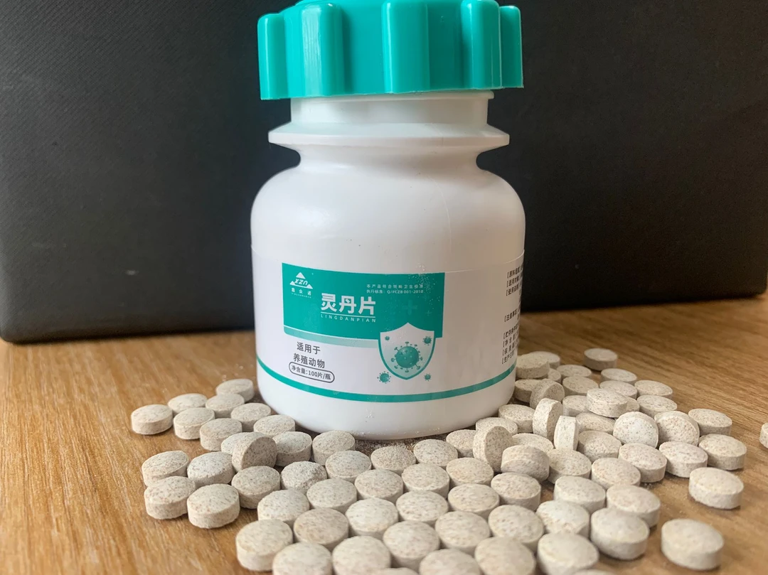 灵丹片 片剂:种鸽一天一片，幼鸽一天半片。