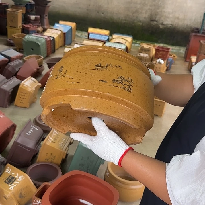 紫砂花盆这是我的新