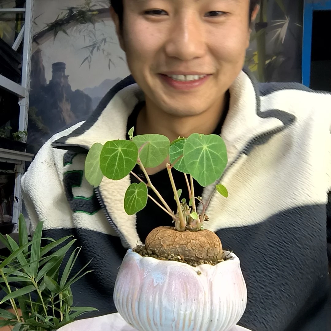 水***·中青园艺一物一拍290