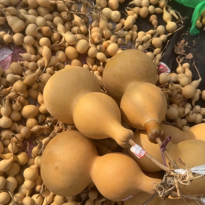 z***_guluhulugtt太可怜了他