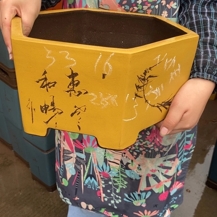 紫砂花盆自己的号了