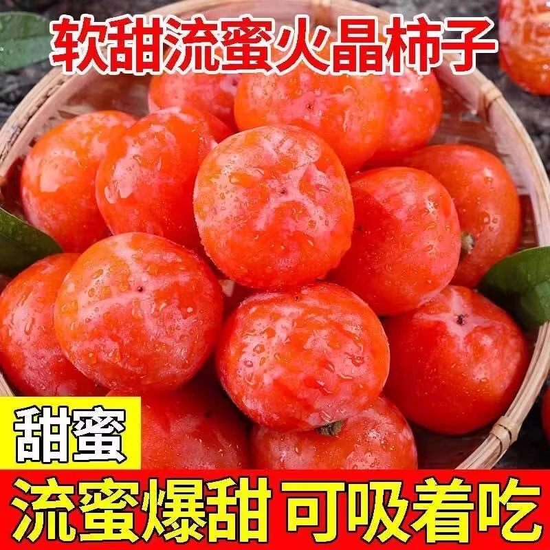 【果园直发】陕西火晶柿子新鲜水果流心软柿当季小柿子火罐蜜柿整箱