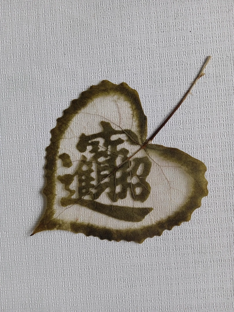 叶雕——招财进宝   （白杨叶；湿雕法）