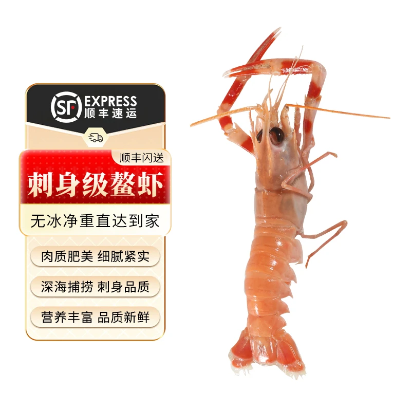鳌虾海鳌虾刺身大号舟山宁波海鲜冷冻新鲜大鳌虾海虾精品