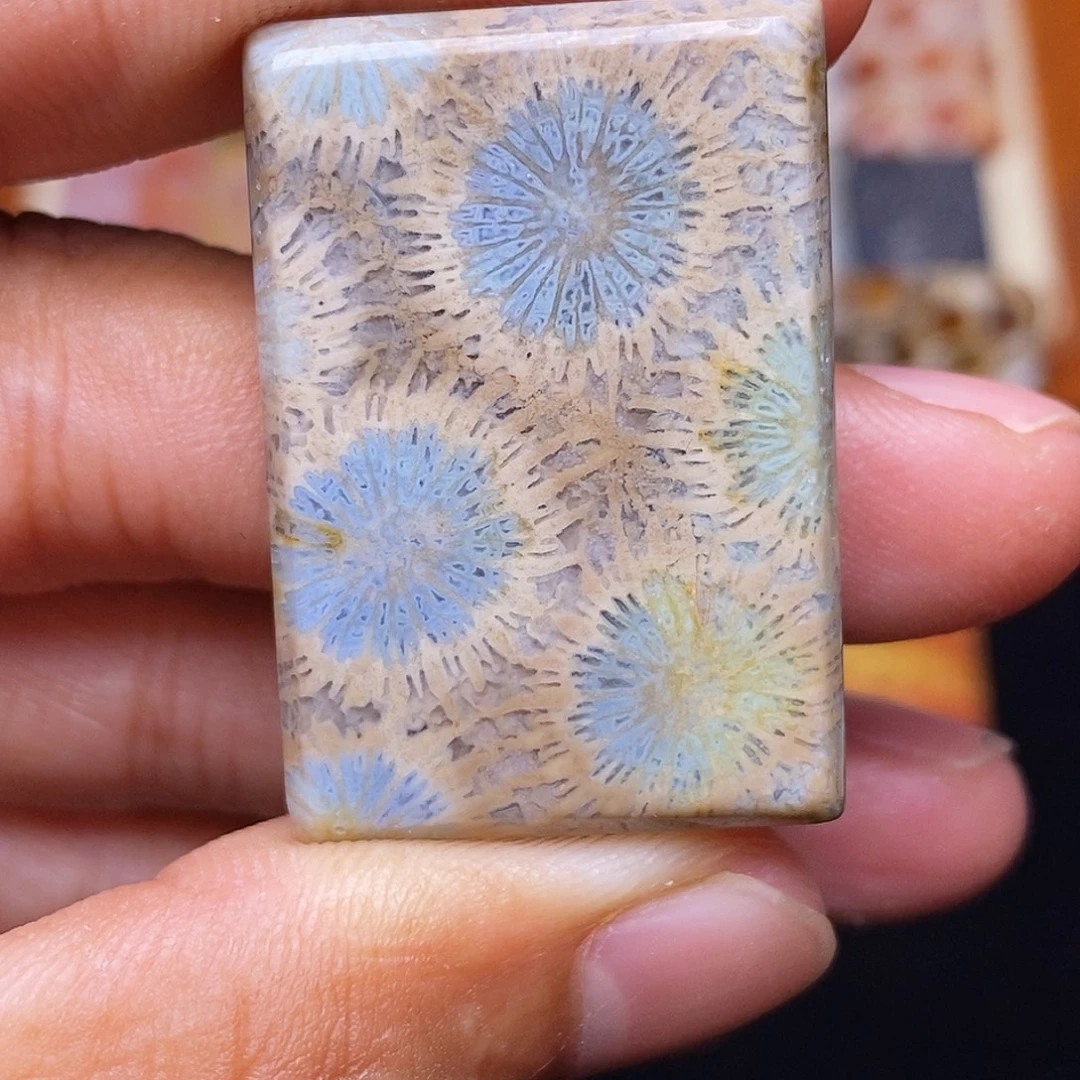 T***y硅化玉合金珊瑚玉