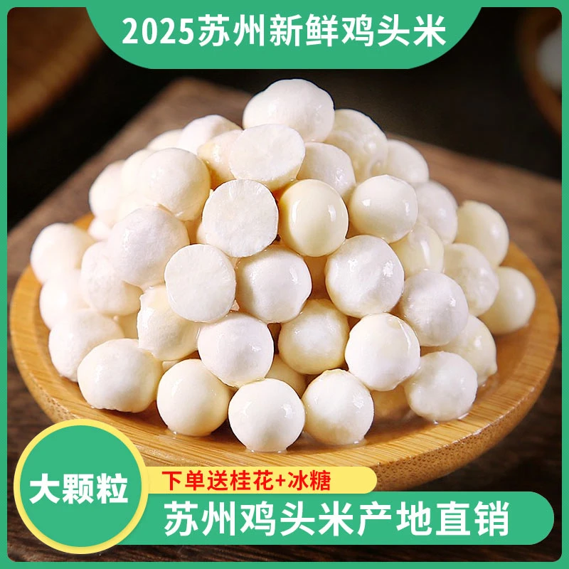 【大颗粒】2025苏州鸡头米南荡新鲜现摘芡实冷链发货