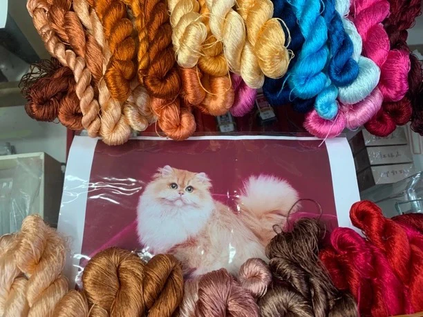 沙发猫课程，有回放，