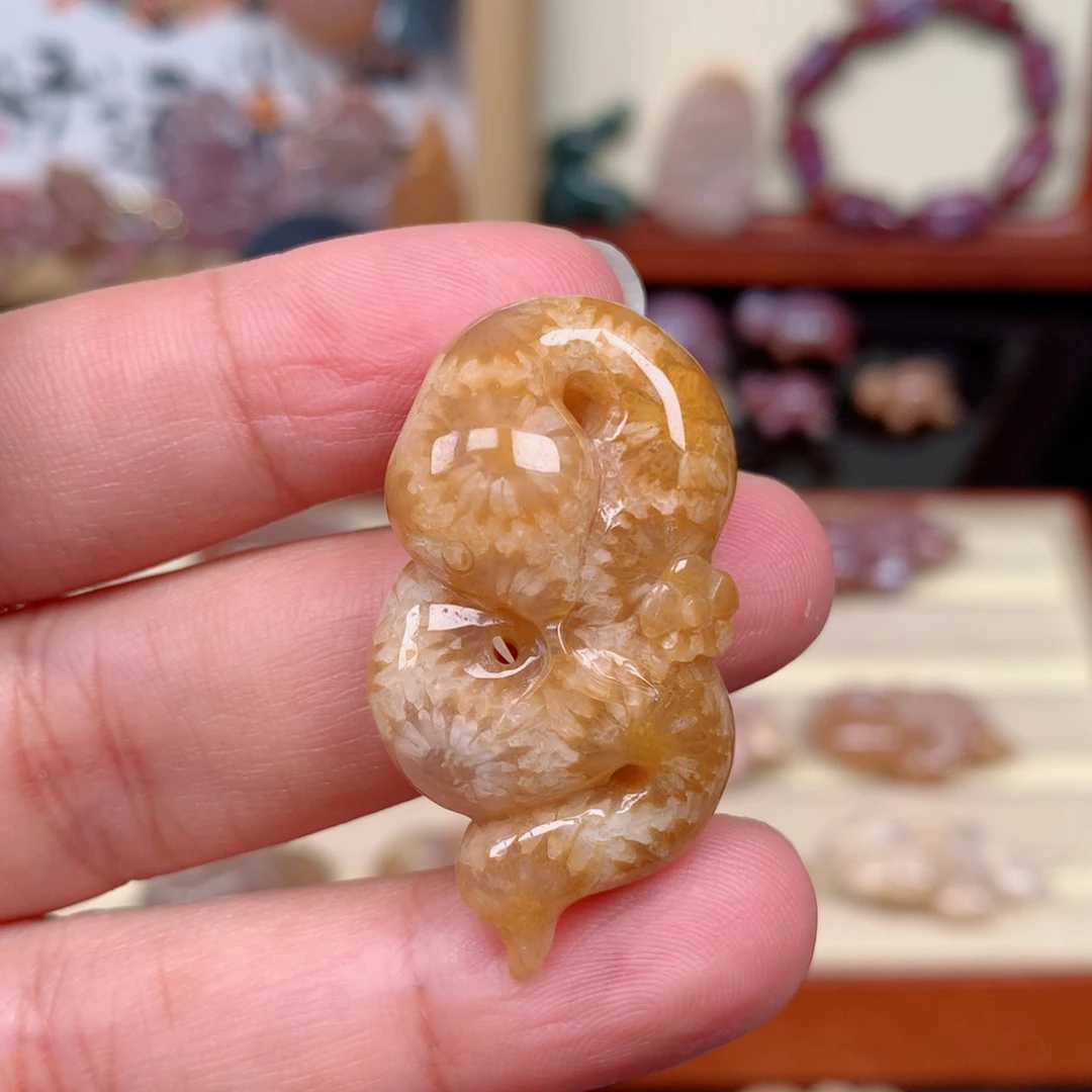 硅化玉未镶嵌颈饰