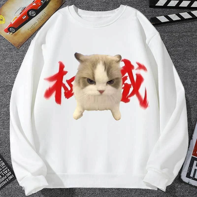 童装网红猫权威头像卫衣男外套女搞怪小猫抽象猫咪恶搞沙雕学生装