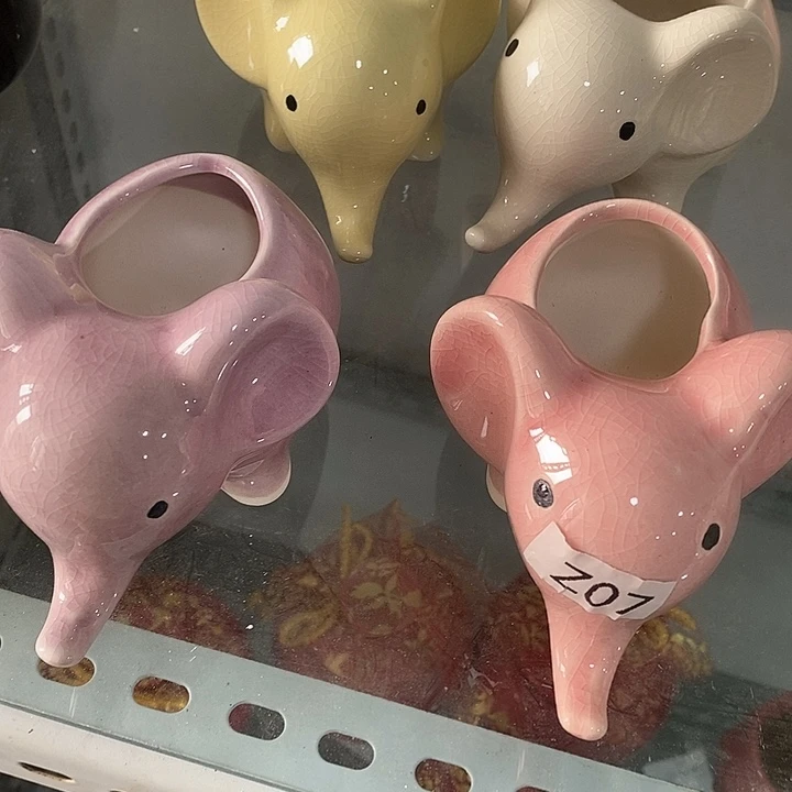 花盆抢购清货马上开始