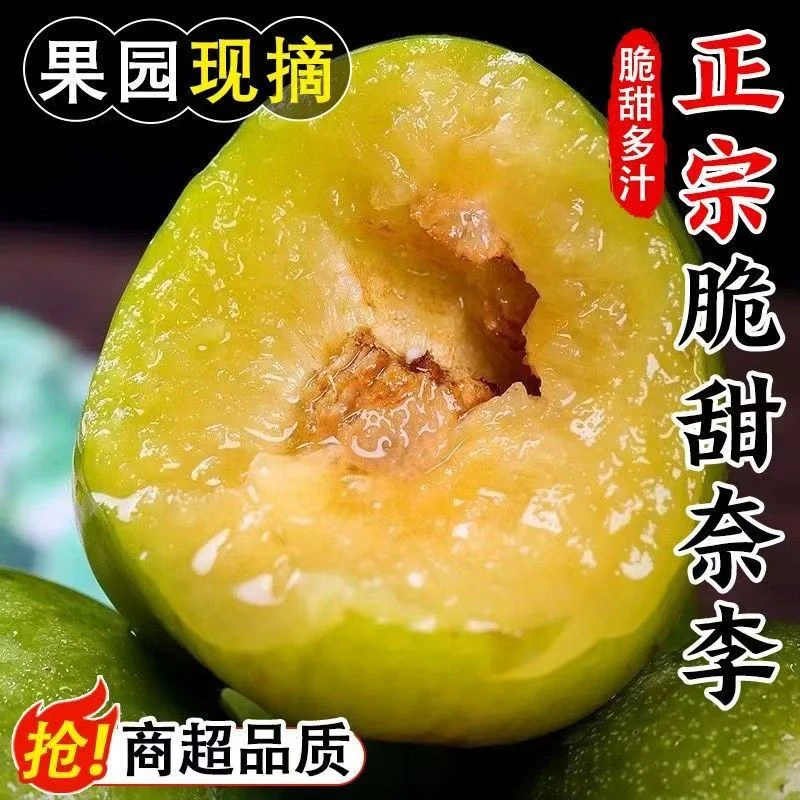 5斤装广西高山新鲜应季青奈李脱骨脆甜多汁爽口肉厚现摘现发KR