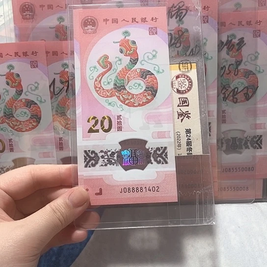 纸088881402。。。。。。。。。