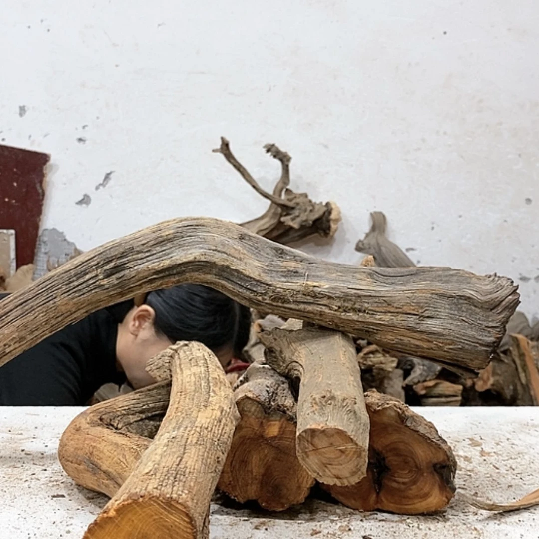 【闪购商品】柏木小*钱我们都是好孩子