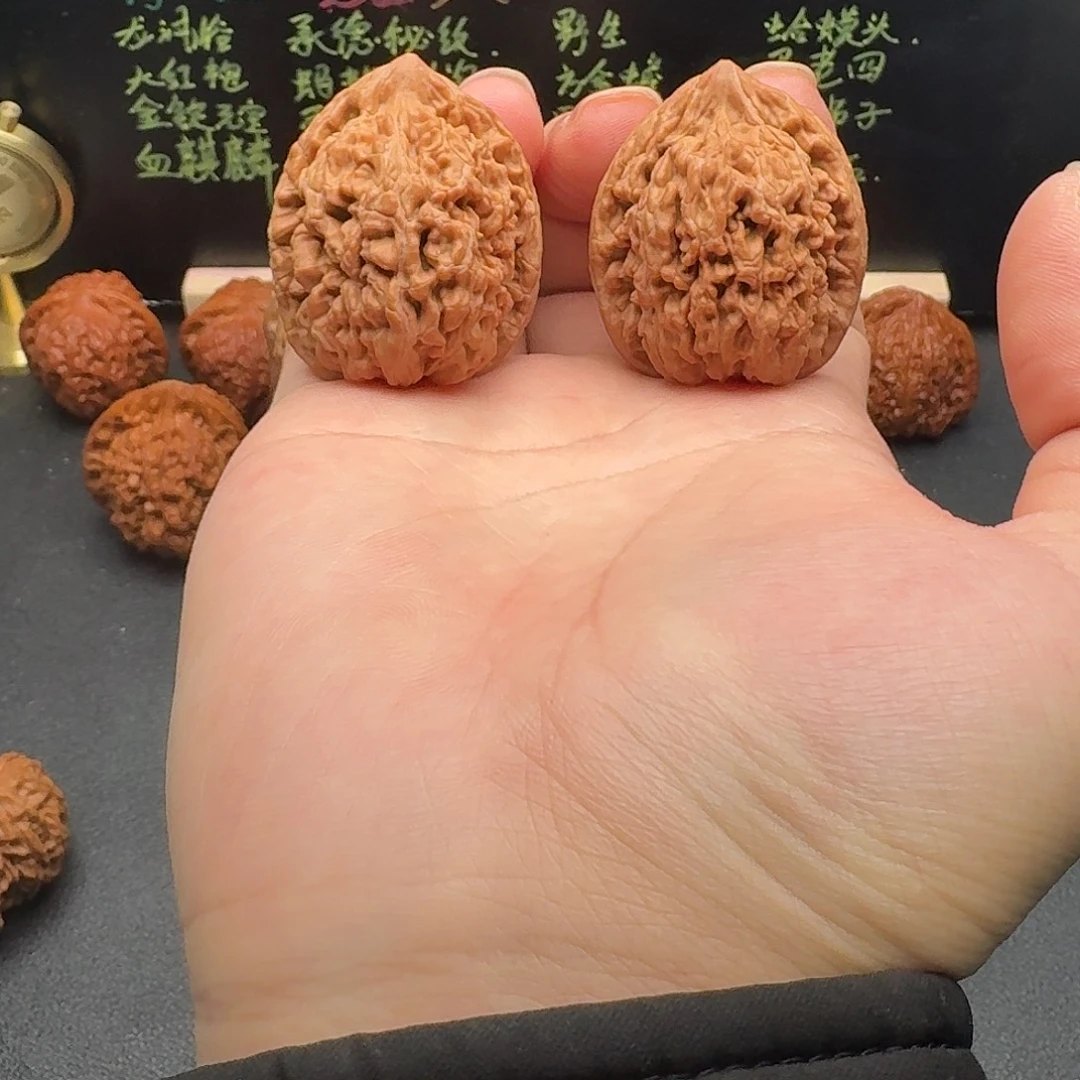 35小众蚂蚁王文玩核桃