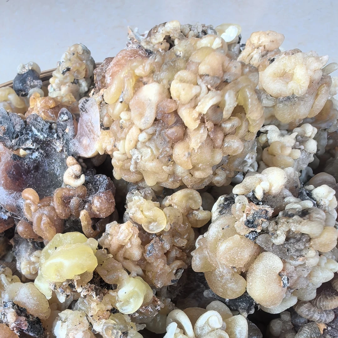 【阿海精选】土特产玉玲珑蔘