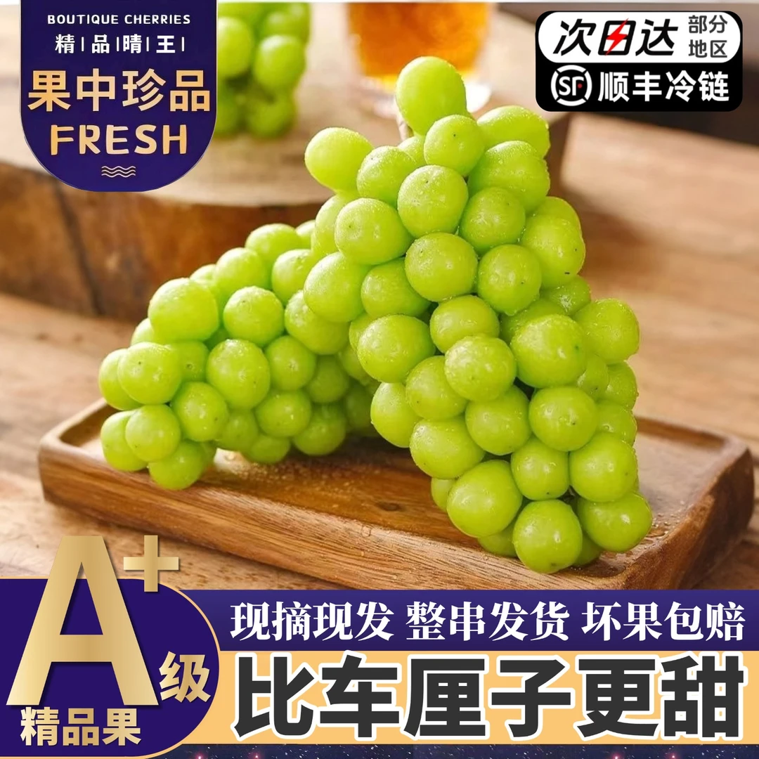 顺丰次日达【5斤大果整箱】精品阳光玫瑰葡萄当季新鲜现摘3/5斤Q